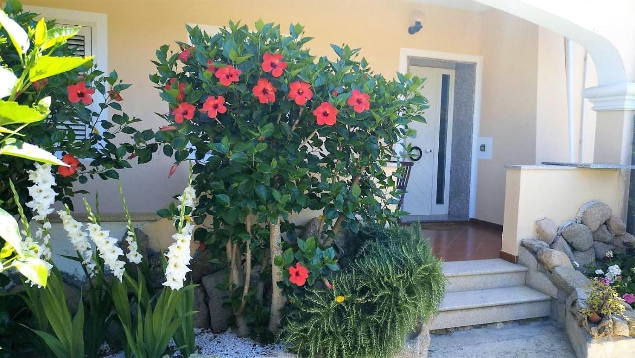 Dolce Hibiscus Lejlighed Olbia Eksteriør billede