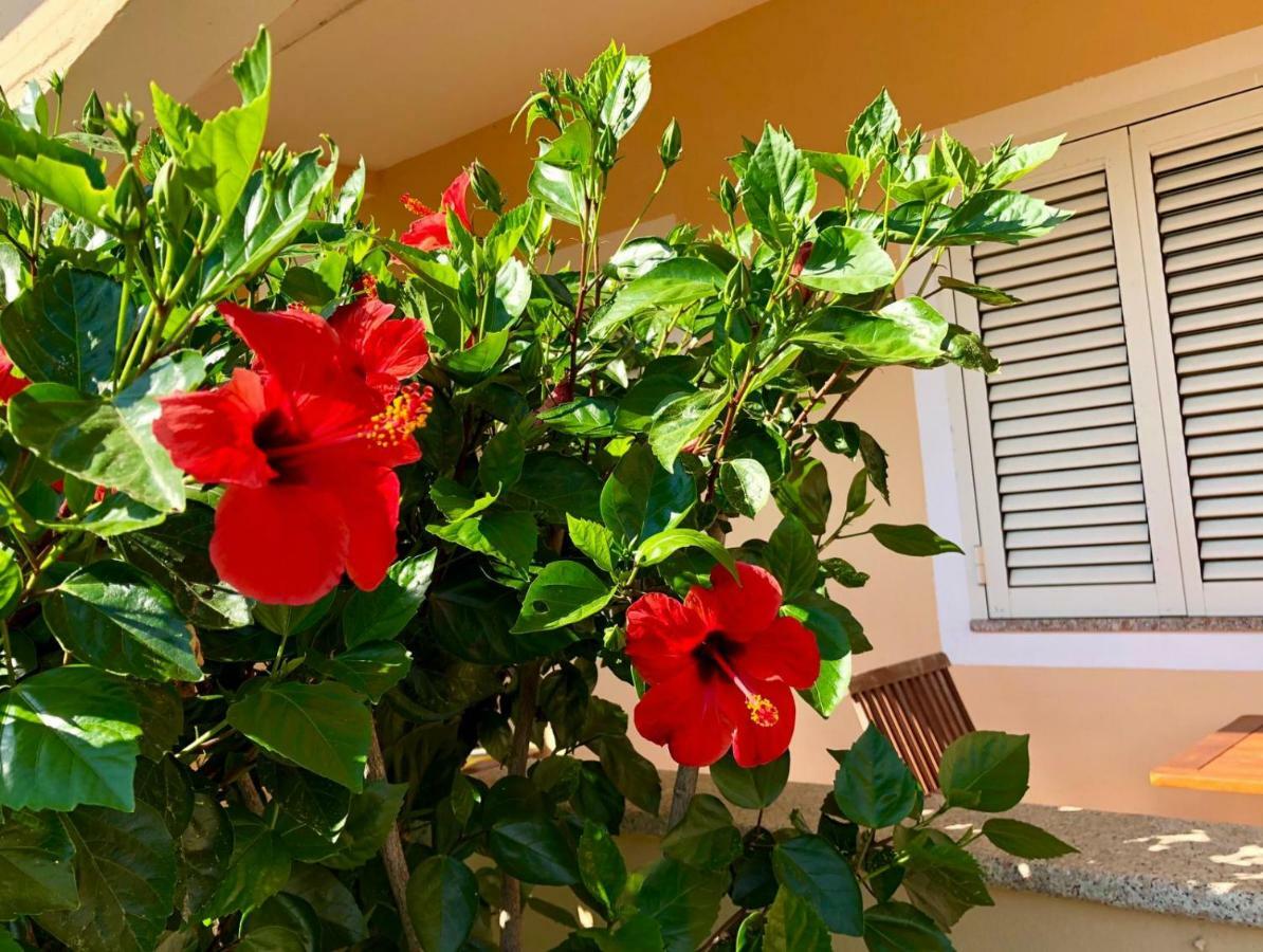 Dolce Hibiscus Lejlighed Olbia Eksteriør billede